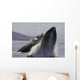 Propelling their bodies from the ocean Wall Mural