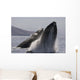 Propelling their bodies from the ocean Wall Mural