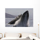 Propelling their bodies from the ocean Wall Mural