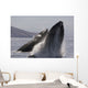 Propelling their bodies from the ocean Wall Mural