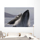 Propelling their bodies from the ocean Wall Mural