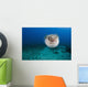 Hawaii, The spotted porcupinefish floating in deep blue pacific waters Wall Mural
