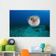 Hawaii, The spotted porcupinefish floating in deep blue pacific waters Wall Mural
