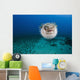 Hawaii, The spotted porcupinefish floating in deep blue pacific waters Wall Mural
