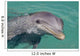 Atlantic Bottlenose Dolphin in crystal clear waters Wall Mural