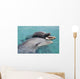 Atlantic Bottlenose Dolphins in crystal clear waters Wall Mural
