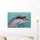 Atlantic Bottlenose Dolphins in crystal clear waters Wall Mural
