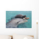 Atlantic Bottlenose Dolphins in crystal clear waters Wall Mural