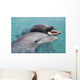 Atlantic Bottlenose Dolphins in crystal clear waters Wall Mural