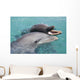 Atlantic Bottlenose Dolphins in crystal clear waters Wall Mural