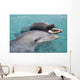 Atlantic Bottlenose Dolphins in crystal clear waters Wall Mural