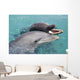 Atlantic Bottlenose Dolphins in crystal clear waters Wall Mural