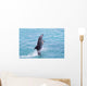 Atlantic Bottlenose Dolphin leaps from the water Wall Mural