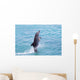 Atlantic Bottlenose Dolphin leaps from the water Wall Mural
