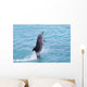 Atlantic Bottlenose Dolphin leaps from the water Wall Mural
