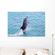 Atlantic Bottlenose Dolphin leaps from the water Wall Mural