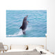 Atlantic Bottlenose Dolphin leaps from the water Wall Mural