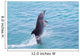 Atlantic Bottlenose Dolphin leaps from the water Wall Mural