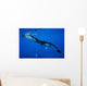 Hawaii, An underwater view of the tail of a humpback whale Wall Mural