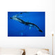 Hawaii, An underwater view of the tail of a humpback whale Wall Mural