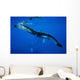Hawaii, An underwater view of the tail of a humpback whale Wall Mural