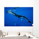 Hawaii, An underwater view of the tail of a humpback whale Wall Mural