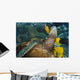 Hawaii, A green sea turtle being cleaned by yellow tangs Wall Mural