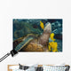 Hawaii, A green sea turtle being cleaned by yellow tangs Wall Mural