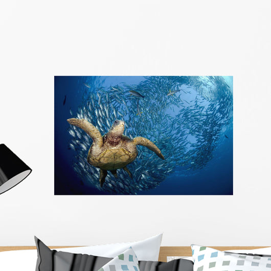 glides below a school of Bigeye Jacks Wall Mural