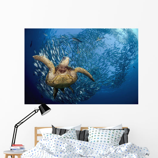 glides below a school of Bigeye Jacks Wall Mural