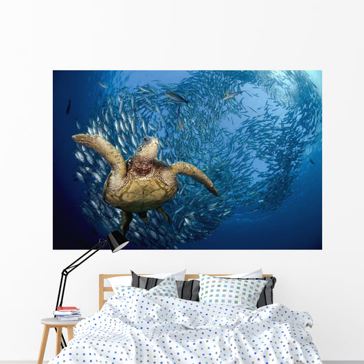 glides below a school of Bigeye Jacks Wall Mural
