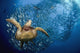 glides below a school of Bigeye Jacks Wall Mural