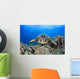 Hawaii, Maui, A wide angle of a green sea turtle viewed straight on Wall Mural
