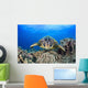 Hawaii, Maui, A wide angle of a green sea turtle viewed straight on Wall Mural
