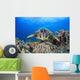 Hawaii, Maui, A wide angle of a green sea turtle viewed straight on Wall Mural