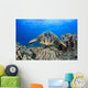 Hawaii, Maui, A wide angle of a green sea turtle viewed straight on Wall Mural