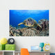 Hawaii, Maui, A wide angle of a green sea turtle viewed straight on Wall Mural