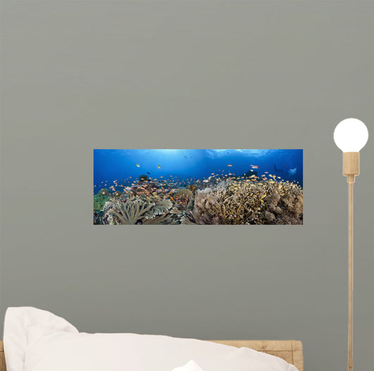 schooling anthias and manta rays in a reef scene Wall Mural