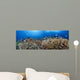 schooling anthias and manta rays in a reef scene Wall Mural
