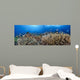 schooling anthias and manta rays in a reef scene Wall Mural