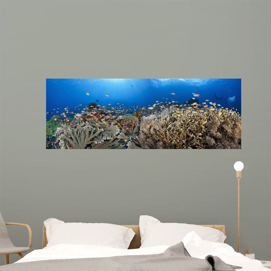 schooling anthias and manta rays in a reef scene Wall Mural