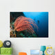 Indonesia, Divers and whip coral on ther reef Wall Mural