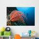 Indonesia, Divers and whip coral on ther reef Wall Mural