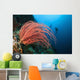 Indonesia, Divers and whip coral on ther reef Wall Mural