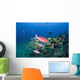 Hawaii, Maui, Whitesaddle goatfish Wall Mural