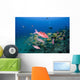 Hawaii, Maui, Whitesaddle goatfish Wall Mural