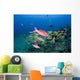 Hawaii, Maui, Whitesaddle goatfish Wall Mural