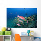 Hawaii, Maui, Whitesaddle goatfish Wall Mural