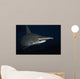 Hawaii, Scalloped hammerhead shark on the ocean floor Wall Mural