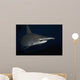 Hawaii, Scalloped hammerhead shark on the ocean floor Wall Mural